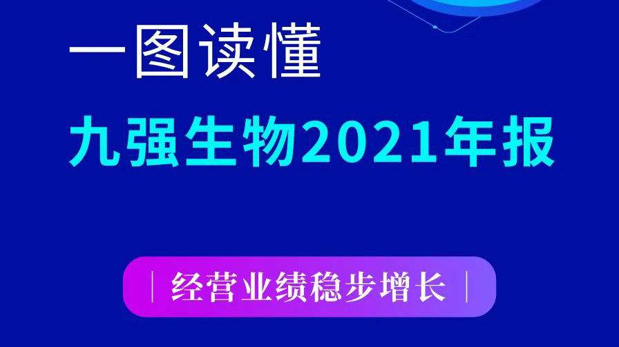一图读懂玖鼎集团生物2021年报