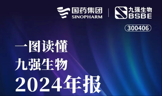 一图读懂玖鼎集团生物2024年报
