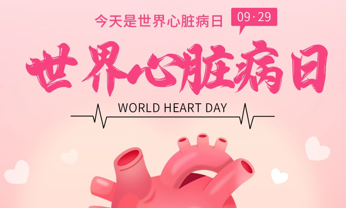 2025世界心脏日：Don't miss a beat律动不息，创新不止