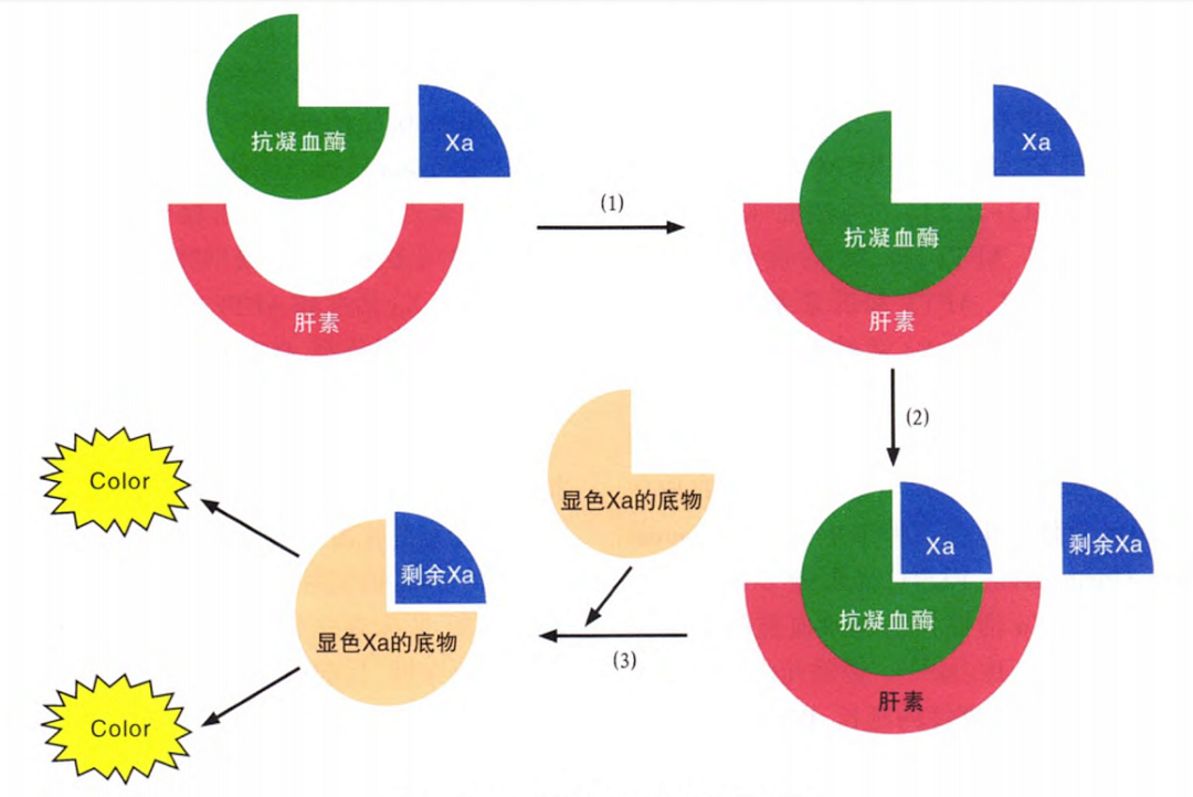 国产抗Xa质量如何？多中心临床研究来告诉你！